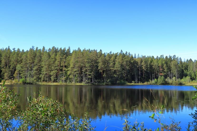 Tio Smultronställen att besöka när du ska utforska Tiveden